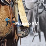 Logo da Piseiro FM