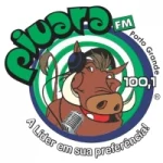 Logo da Rádio Piuara 100.1 FM