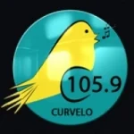Logo da Rádio Canarinho 105.9 FM