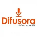 Logo da Rádio Difusora Salinas 1310 AM