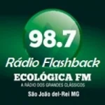 Logo da Rádio Ecológica 98.7 FM