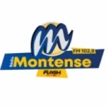 Logo da Rádio Montense Flash Minas 102.9 FM