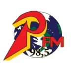 Logo da Rádio Positiva 98.5 FM