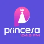 Logo da Rádio Princesa 104.9 FM