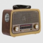 Logo da Rádio Radia
