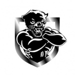 Logo da Rádio Web Pantera