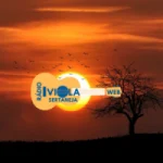 Logo da Viola Sertaneja Web