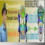 Logo da Web Rádio Brasil Sertanejo