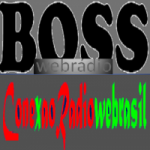 Logo da Conexão Rádio Web Brasil
