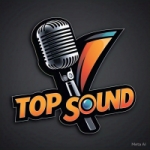 Logo da Rádio Top Som RJ