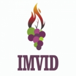 Logo da Rádio Videira News