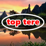 Logo da Top Tere