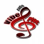 Logo da Vibe Ploc