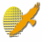 Logo da Best Phoenix Brasil