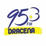 Logo da Rádio 95 FM