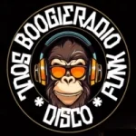 Logo da Rádio Boogie