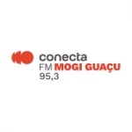 Logo da Rádio Conecta 95.3 FM