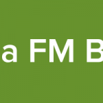 Logo da Rádio Mega FM Brazil