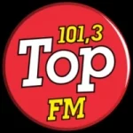Logo da Rádio Top 101.3 FM