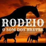 Logo da Rodeio