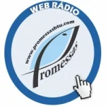 Logo da Web Rádio Promessas